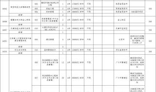 美术生503能报哪些大学